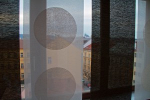 IMG_8267